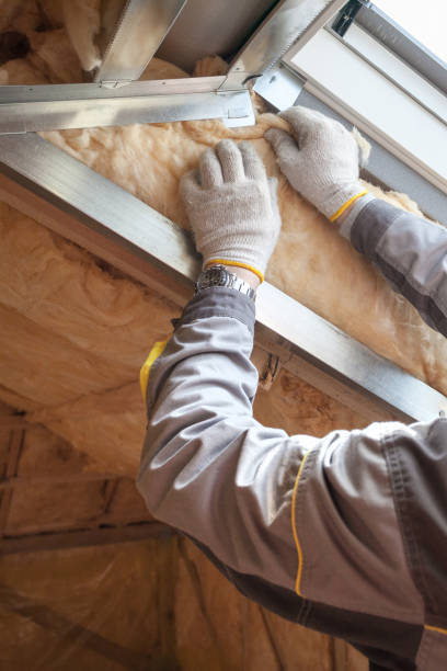 Best Insulation Maintenance and Repair in Mena, AR